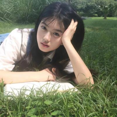 美国派:高潮再起