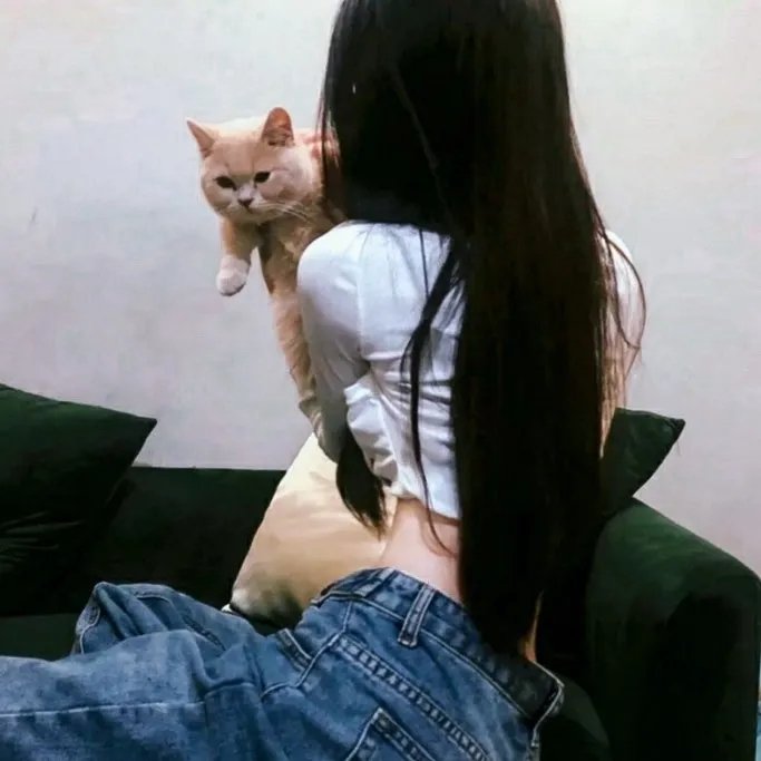 如意天书